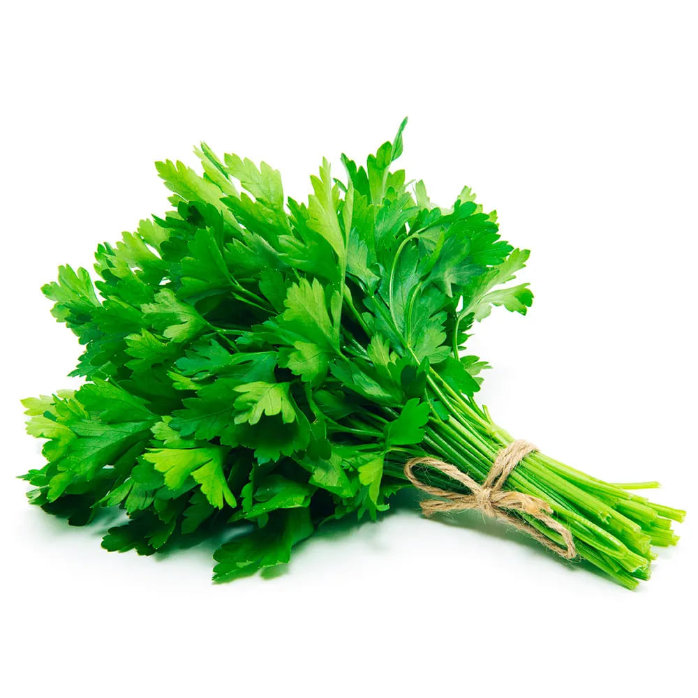 Salsinha Verde Fácil 1 Unidade