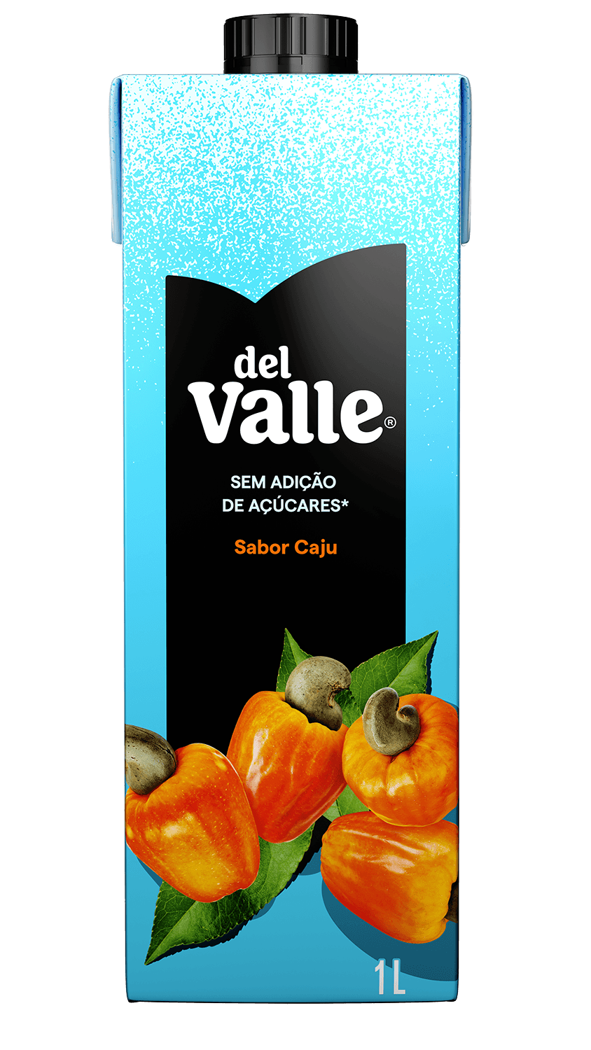 Suco de Caju Zero Açúcar Del Valle 1 Litro