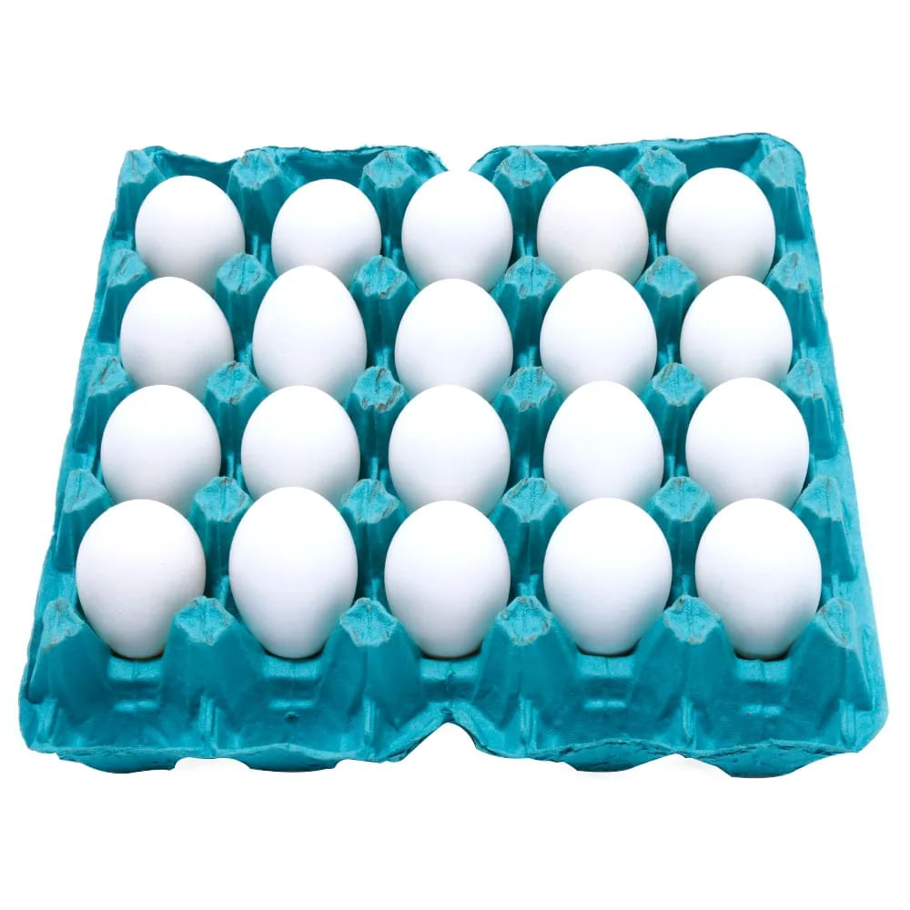Ovo Branco Extra Com 20 Unidades